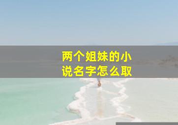 两个姐妹的小说名字怎么取