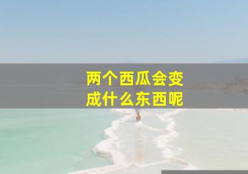 两个西瓜会变成什么东西呢