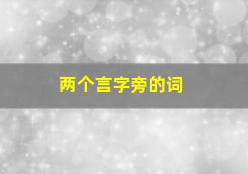 两个言字旁的词