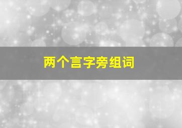 两个言字旁组词