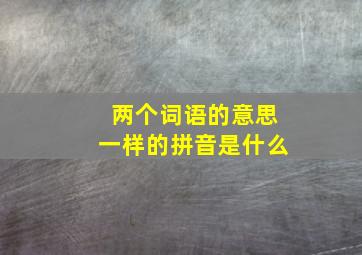 两个词语的意思一样的拼音是什么