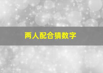 两人配合猜数字