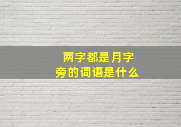 两字都是月字旁的词语是什么