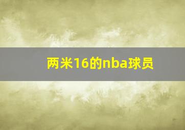 两米16的nba球员