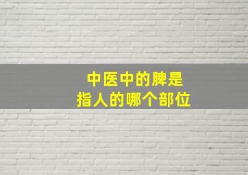 中医中的脾是指人的哪个部位