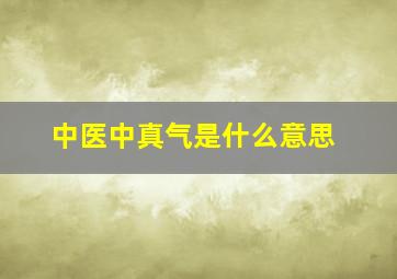 中医中真气是什么意思