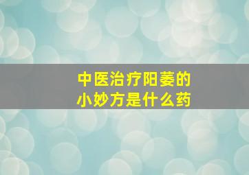 中医治疗阳萎的小妙方是什么药