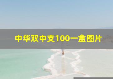 中华双中支100一盒图片