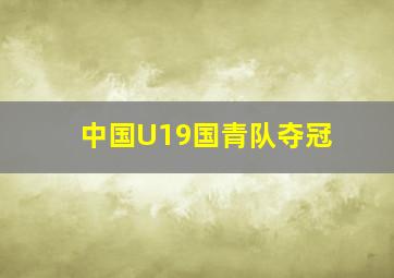 中国U19国青队夺冠