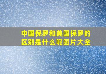 中国保罗和美国保罗的区别是什么呢图片大全