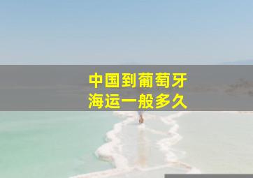 中国到葡萄牙海运一般多久