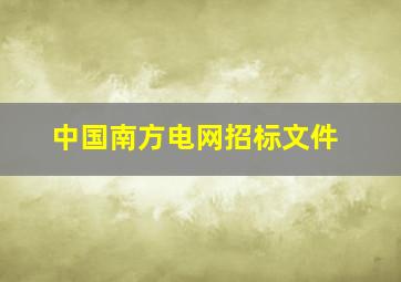 中国南方电网招标文件