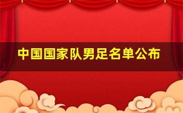 中国国家队男足名单公布