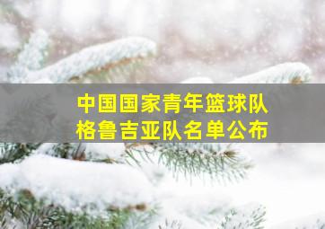 中国国家青年篮球队格鲁吉亚队名单公布