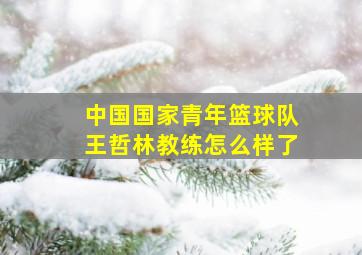 中国国家青年篮球队王哲林教练怎么样了