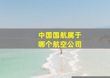 中国国航属于哪个航空公司