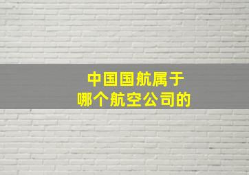 中国国航属于哪个航空公司的