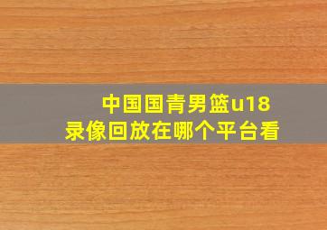 中国国青男篮u18录像回放在哪个平台看