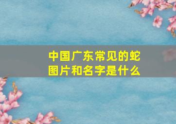 中国广东常见的蛇图片和名字是什么