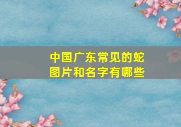 中国广东常见的蛇图片和名字有哪些