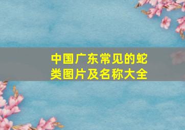 中国广东常见的蛇类图片及名称大全