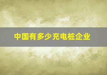 中国有多少充电桩企业