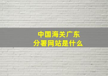 中国海关广东分署网站是什么