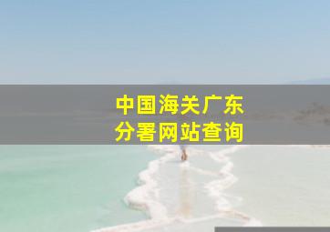 中国海关广东分署网站查询