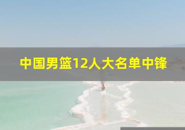 中国男篮12人大名单中锋