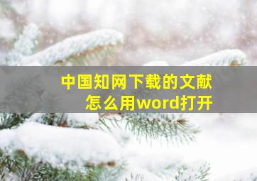 中国知网下载的文献怎么用word打开