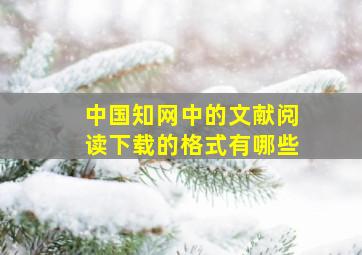 中国知网中的文献阅读下载的格式有哪些