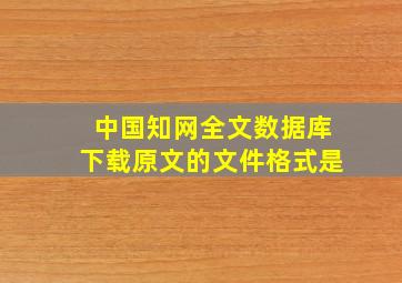 中国知网全文数据库下载原文的文件格式是