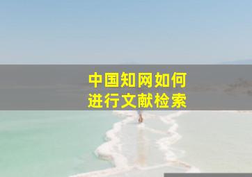 中国知网如何进行文献检索