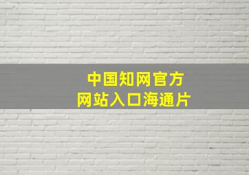 中国知网官方网站入口海通片