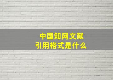 中国知网文献引用格式是什么