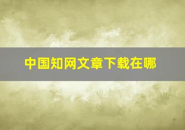 中国知网文章下载在哪