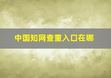 中国知网查重入口在哪