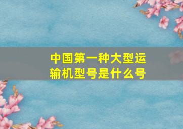 中国第一种大型运输机型号是什么号