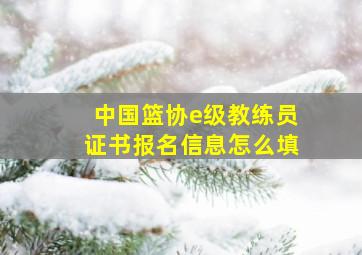 中国篮协e级教练员证书报名信息怎么填