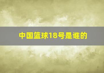 中国篮球18号是谁的