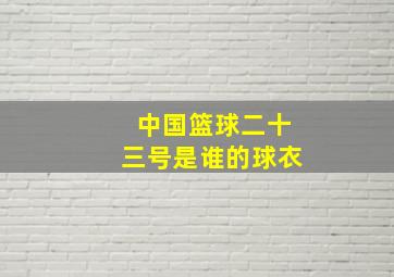 中国篮球二十三号是谁的球衣