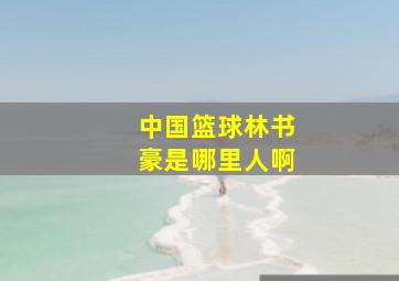 中国篮球林书豪是哪里人啊