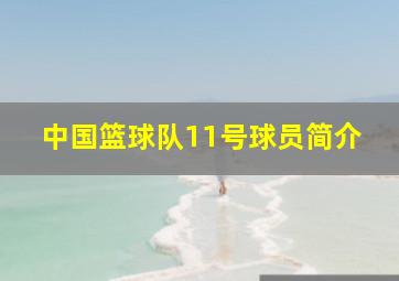 中国篮球队11号球员简介