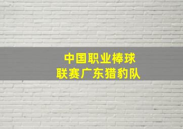 中国职业棒球联赛广东猎豹队