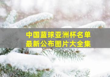 中国蓝球亚洲杯名单最新公布图片大全集