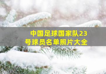 中国足球国家队23号球员名单照片大全