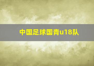 中国足球国青u18队