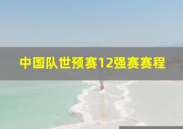 中国队世预赛12强赛赛程