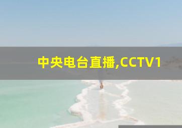 中央电台直播,CCTV1