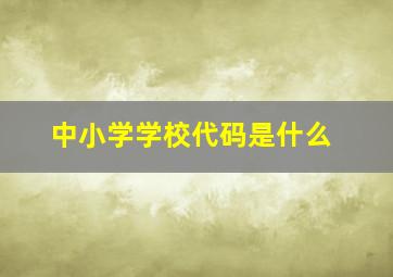 中小学学校代码是什么